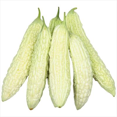 苦み少ない白ゴーヤ マイルドホワイト