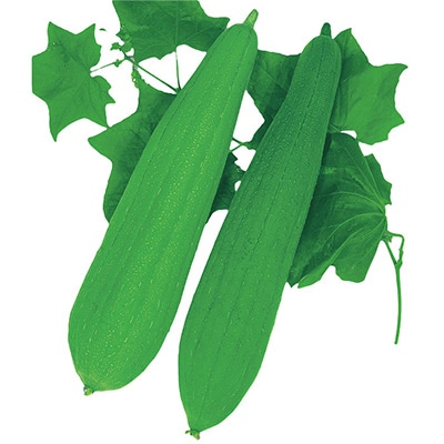 ヘチマ （約30粒）1袋