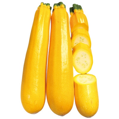 ズッキーニ イエローヤングマン（R）