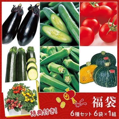 果菜の種 福袋 6種セット
