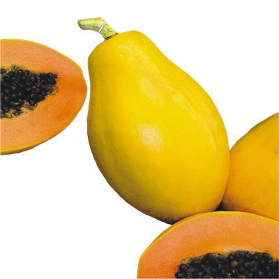 パパイア ハワイオウロ