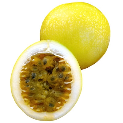 パッションフルーツ イエローパッション