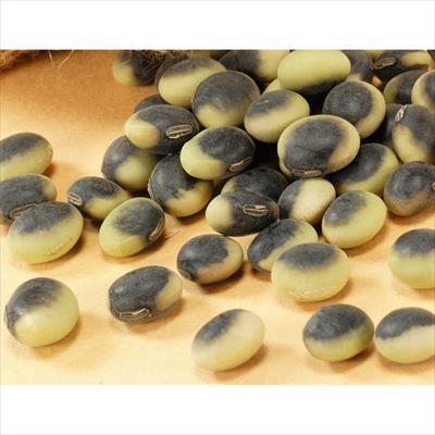 エダマメ くらかけ豆