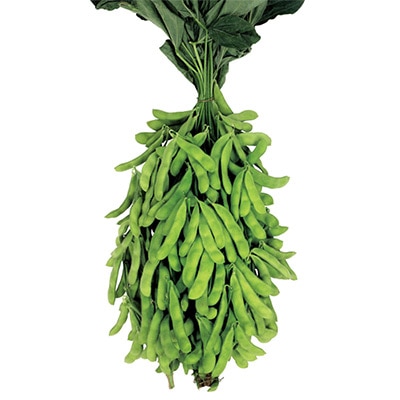 エダマメ たっぷり