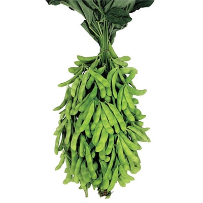 エダマメ たっぷり