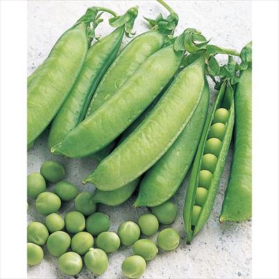 つるありフルーツ実豌豆 あま実ちゃん