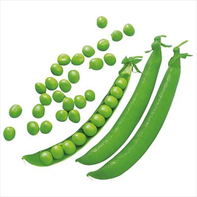 つるありグリーンピース ロングピース