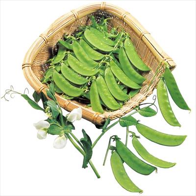 白花砂糖エンドウ 白星