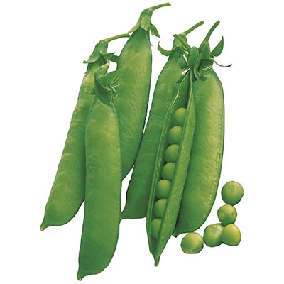 早どりグリーンピース 実エンドウ