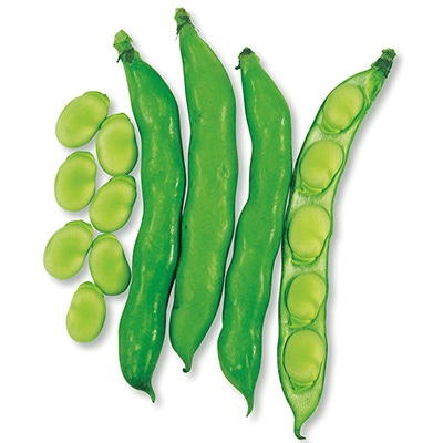 ソラマメ 早生そらまめ