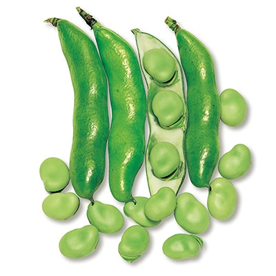 ソラマメ 中生そらまめ