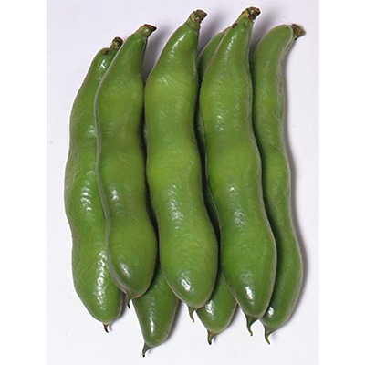 ソラマメ 一寸そらまめ