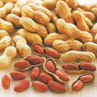 ラッカセイ 千葉半立ち落花生