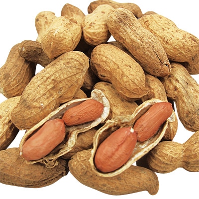 ジャンボラッカセイ おおまさりネオ(R)