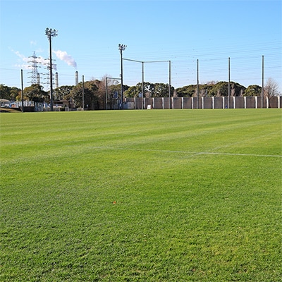 西洋芝 みどりの芝生シリーズ 踏みに強い