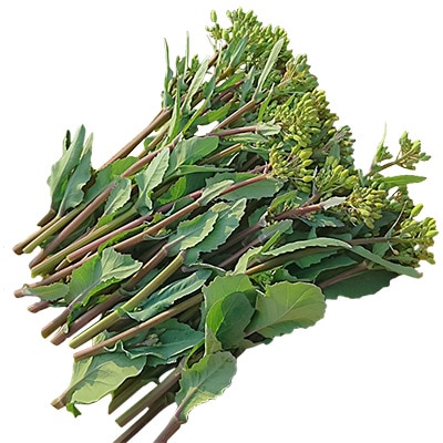 有機種子 のらぼう菜