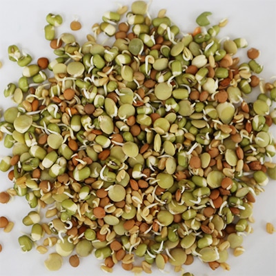 有機種子 ミックス豆