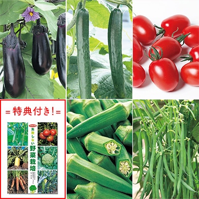 野菜の種はじめてセット 5種セット