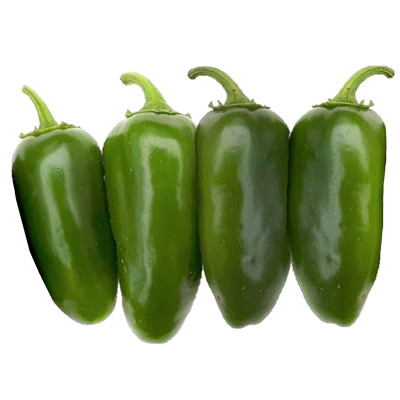 有機種子 ハラペーニョ