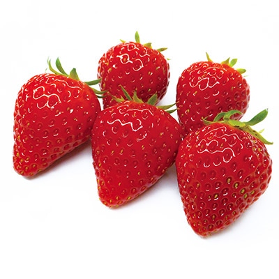 イチゴ よつぼし