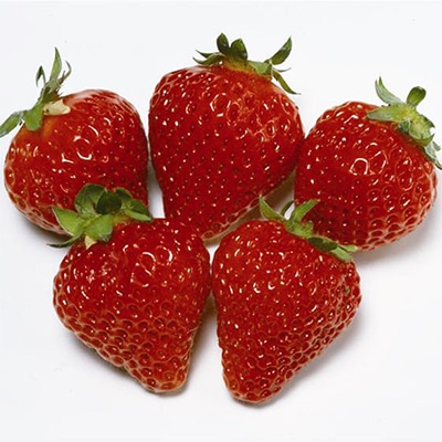 イチゴ とよのか