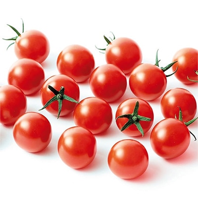 セル苗 ミニトマト キャロルポポ 自根苗