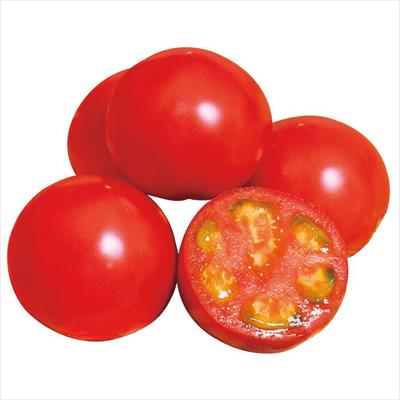 大玉トマト パルト 接木苗