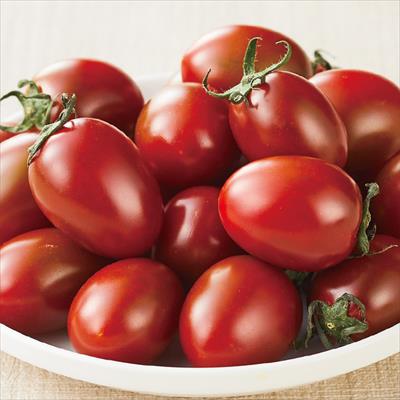 ミニトマト チョコアイコ 接木苗