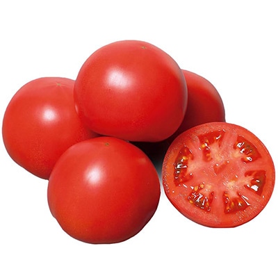 セル苗 大玉トマト かれん 接木苗