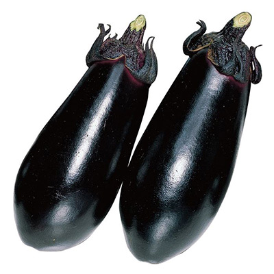 ナス 黒福 自根苗