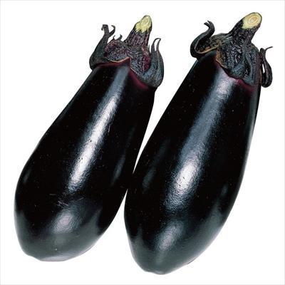 ナス 黒福 5月中～下旬発送予定