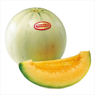 メロン プリンス 接木苗