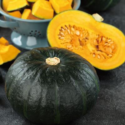 栗カボチャ ブラックのジョー(R)