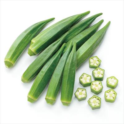 オクラ ずーっとみどり 自根苗
