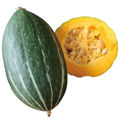 カボチャ スイートタックル(R) 自根苗