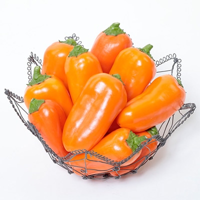 おうち野菜（R） ミニパプリカ ぱぷりーな（R）オレンジ 自根苗