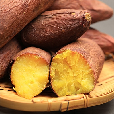 サツマイモ シルクスイート(R) メリクロン