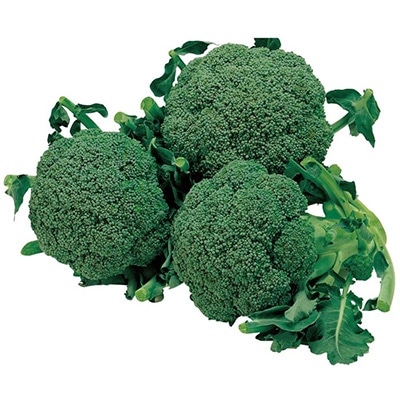 ジフィーセブンC苗 ブロッコリー 緑嶺