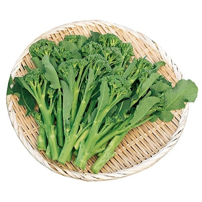 ジフィーセブンC苗 茎ブロッコリー スティックセニョール 3月23日～27日発送予定