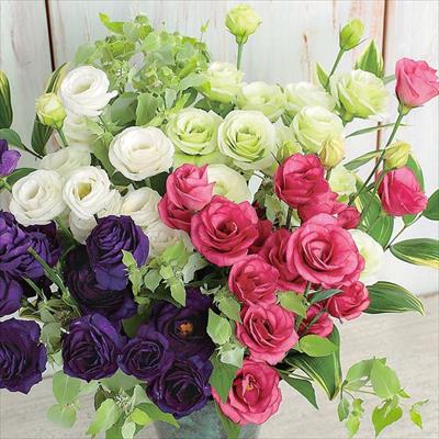 トルコギキョウ フルフル(R) ミックス