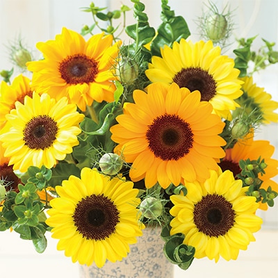 ヒマワリ ビンセント(R) ミックス