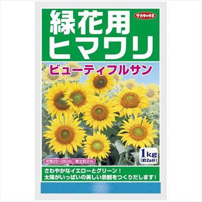 ヒマワリ ビューティフルサン