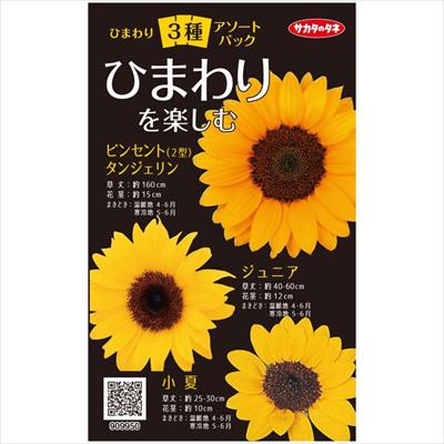 アソートパック ひまわり３種 ひまわりを楽しむ