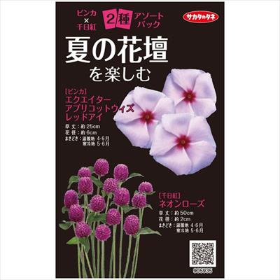 アソートパック ビンカ×千日紅 夏の花壇を楽しむ