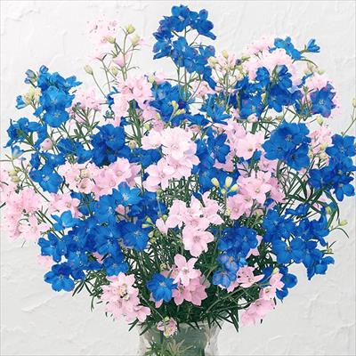 デルフィニウム プデル ミックス