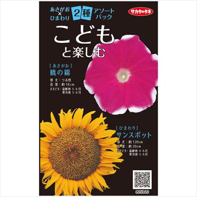 アソートパック あさがお×ひまわり こどもと楽しむ