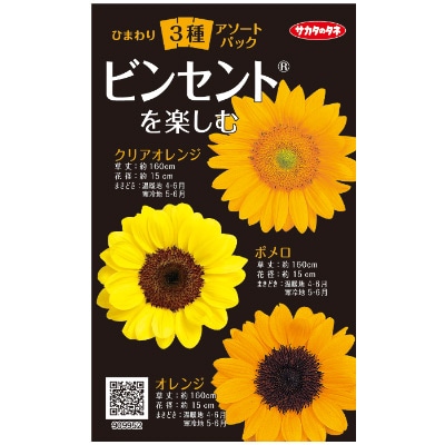 アソートパック ひまわり3種 ビンセント(R)を楽しむ
