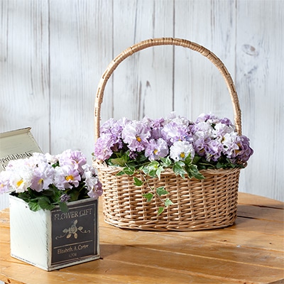 ビオラ ポンゼヴェールCOCO コットンピンク