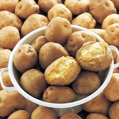 ジャガイモ 男爵薯 タネイモ