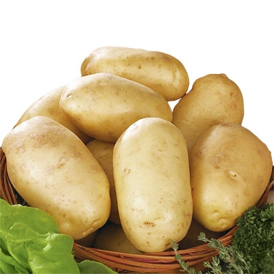 ジャガイモ アルバン タネイモ